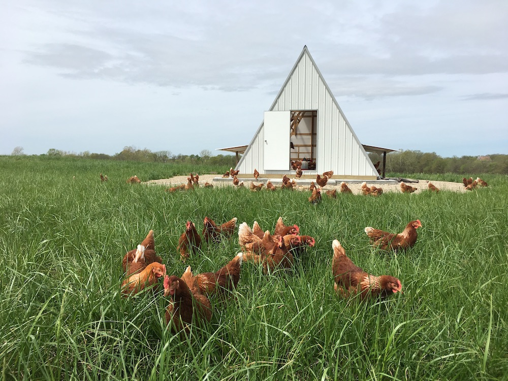 Sustainable Agriculture